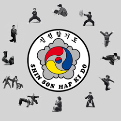 kampkunst shinson hapkido logo